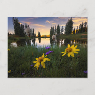 Cartão Postal Serene Sunrise over a Colorado Pond