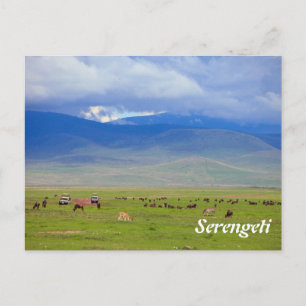 Cartão Postal Serengeti