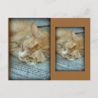 Cartão Postal Serenidade