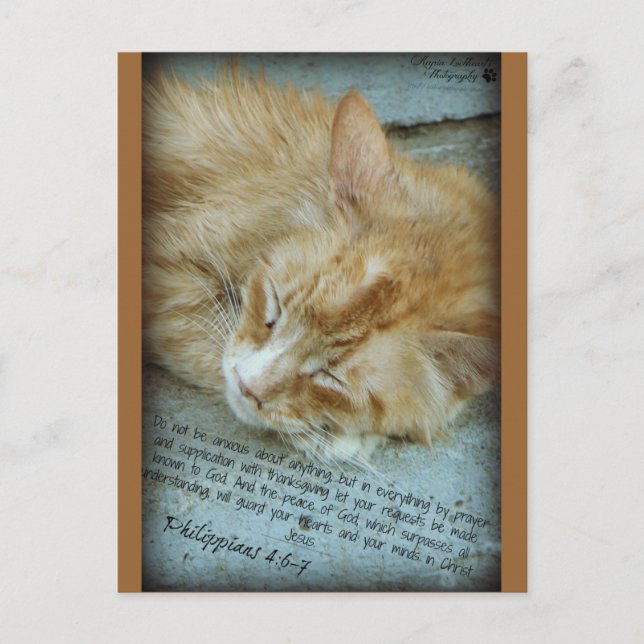 Cartão Postal Serenidade (Frente)