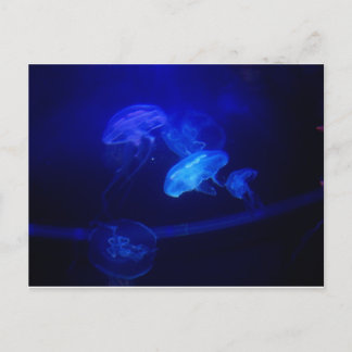 Cartão Postal Serenidade