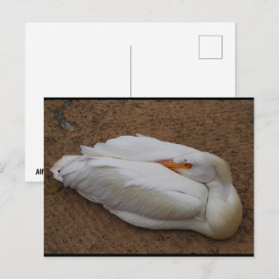 Cartão Postal Serenidade em Branco