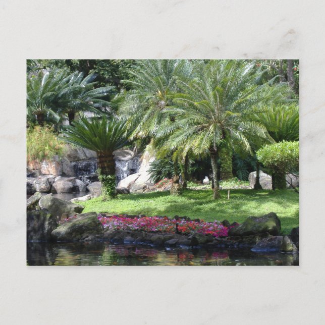 Cartão Postal Serenidade em Kauai (Frente)