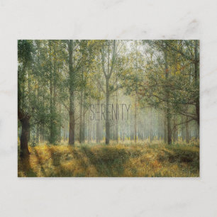 Cartão postal Serenity Nature
