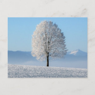 Cartão Postal Serenity Prayer Winter Tree