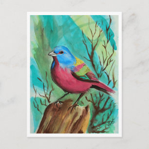 Cartão Postal Série de aves de tartaruga