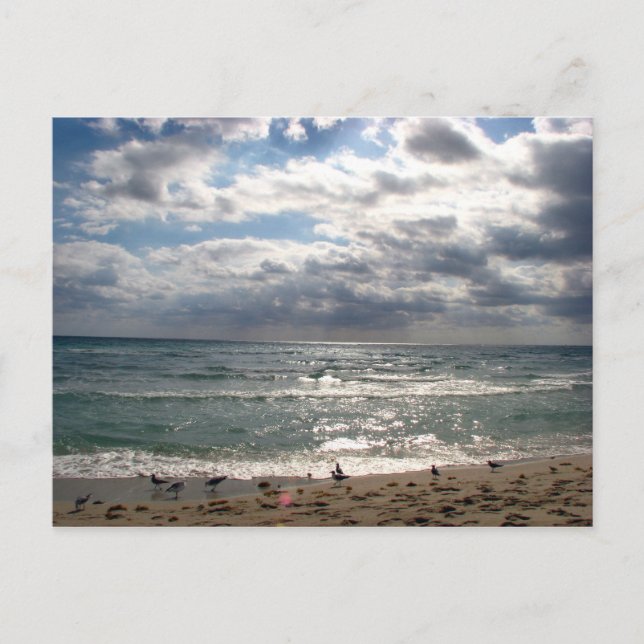 Cartão Postal Série Miami (Frente)