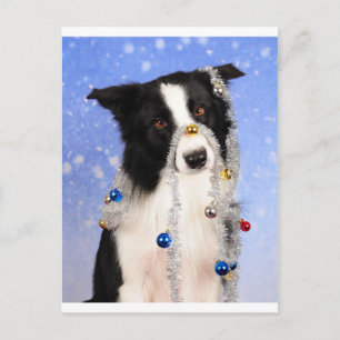 Cartão Postal Sério?