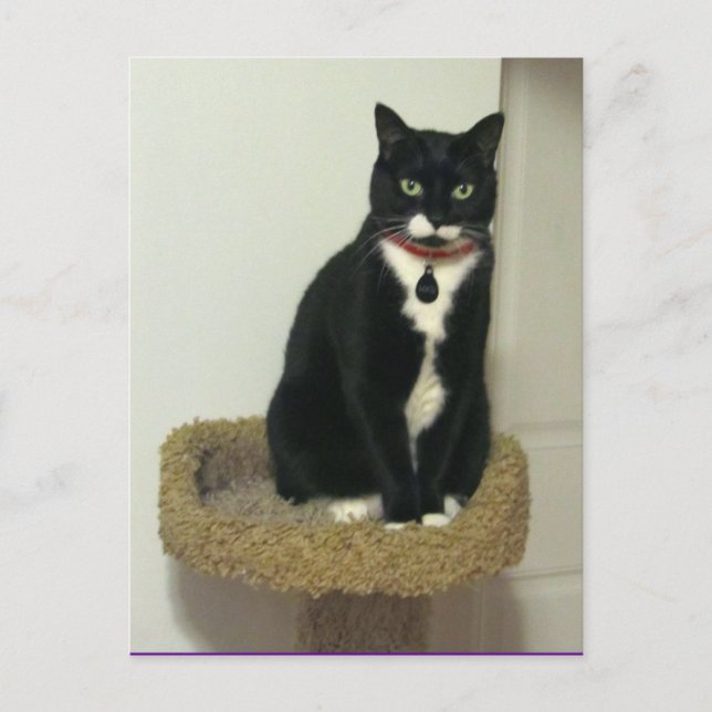 Cartão Postal Sério Lucy (Frente)