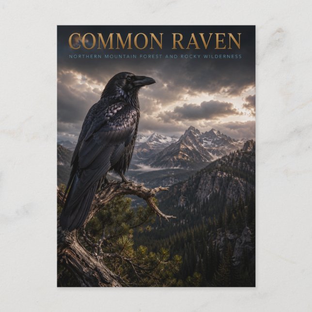 Cartão Postal Serra do Corvo Comum Selvagem ANIMAIS (Frente)