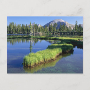 Cartão Postal SERRA UINTAS ALTA, FLORESTA NACIONAL, UT, US, peni