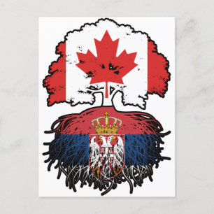 Cartão Postal Sérvia Sérvio Canadense Canadá Árvore Bandeira