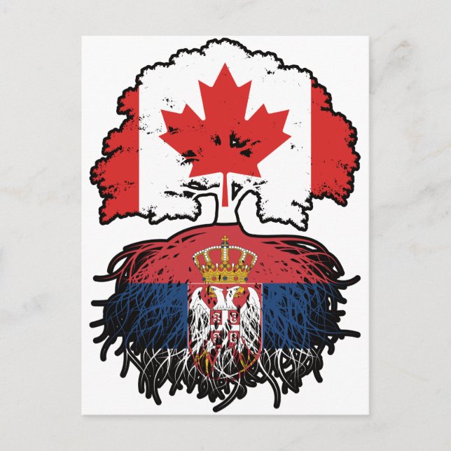 Cartão Postal Sérvia Sérvio Canadense Canadá Árvore Bandeira (Frente)
