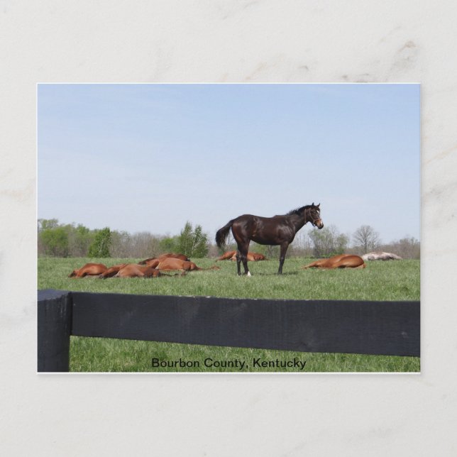 Cartão Postal Serviço de vigilância (Frente)