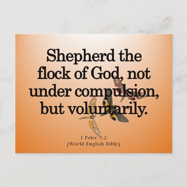 Cartão Postal Serviço voluntário 1 Peter 5-2 (Frente)