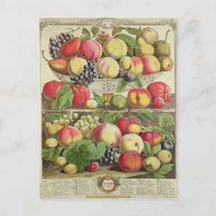 Cartão Postal Setembro, de doze meses de Fruta