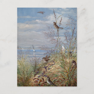 Cartão Postal Setembro   Fidelia Bridges