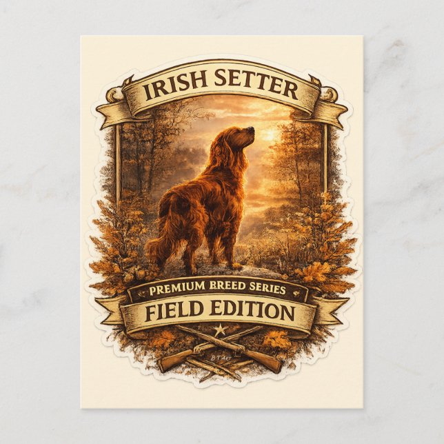 Cartão Postal Setter Irlandês (Frente)