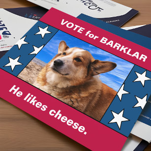 Cartão Postal Seu Cachorro Na Engraçada Campanha Eleitoral Dos E