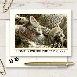 Cartão Postal Seu Novo Endereço Fotográfico do Kitten