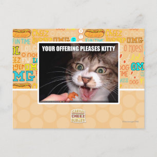 Cartão Postal Seu oferecimento satisfaz o gatinho