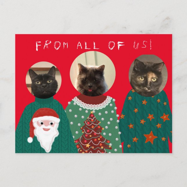 Cartão Postal Seus 3 Gatos no Cartão-postal de Natal Feio (Frente)
