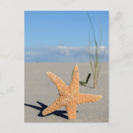 Cartão Postal Sewest am Strand