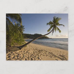 Cartão Postal Seychelles, Ilha de Mahe, praia de Anse Takamaka,