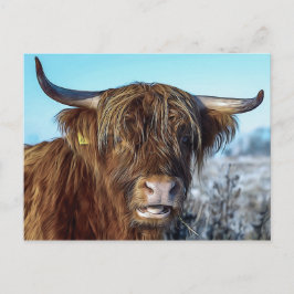 Cartão Postal Shaggg Highland Beef Oil Painting