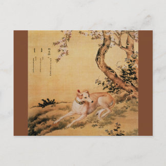 Cartão Postal Shanxing Wolf ~睒 星~Greyhound ~Giuseppe Castiglione