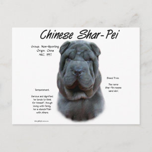 Cartão Postal Shar Pei Azul Chinês, História, Sharpei, Shar-pei