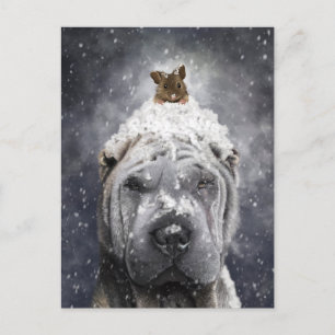 Cartão Postal Shar Pei azul na neve com um pequeno rato