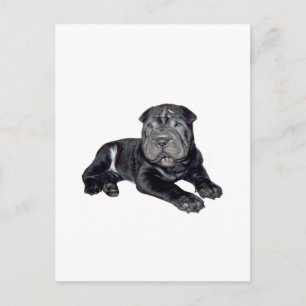 Cartão Postal Shar Pei chinês - cachorrinho preto