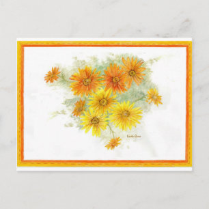 Cartão Postal Shasta Daisies Após a Chuva