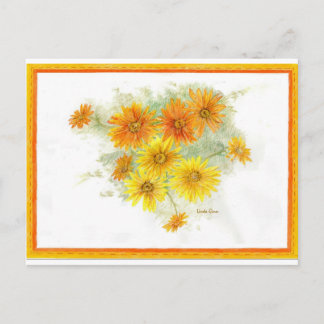 Cartão Postal Shasta Daisies Após a Chuva