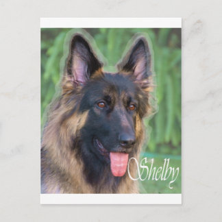 Cartão Postal Shelby