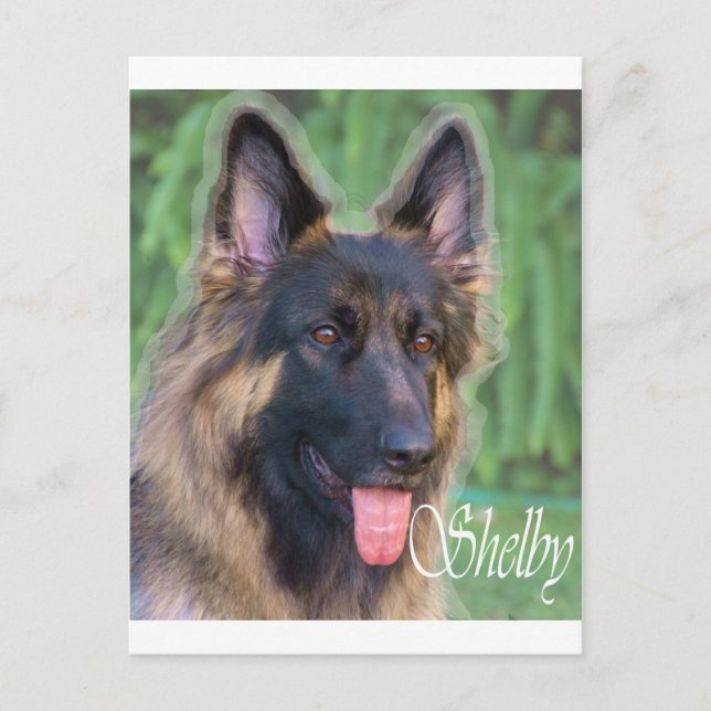 Cartão Postal Shelby (Frente)