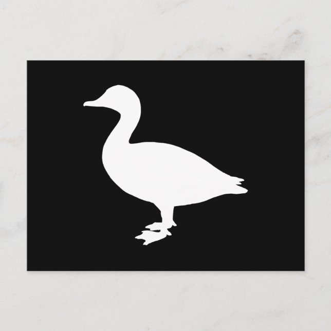 Cartão Postal Sheldrake Duck (Frente)