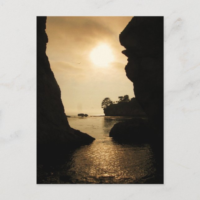 Cartão Postal Shell Beach (Frente)