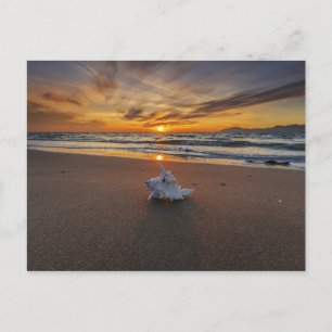 Cartão Postal Shell Na Praia Ao Sunset Ilha Kos