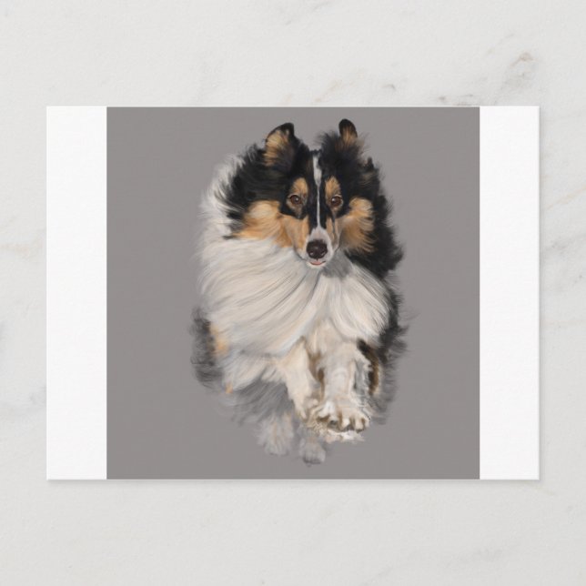 Cartão Postal Shellie em Movimento (Frente)