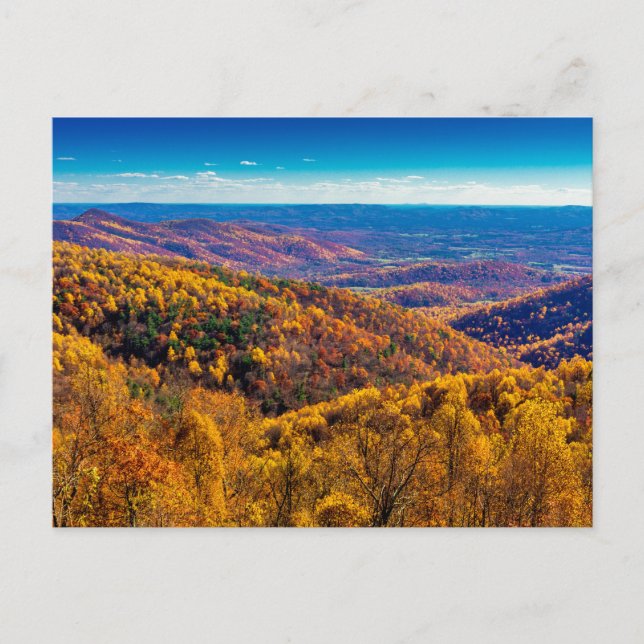 Cartão Postal Shenandoah National Park em Fall, Virginia (Frente)