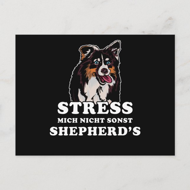 Cartão Postal Shepherd Say Australiano (Frente)