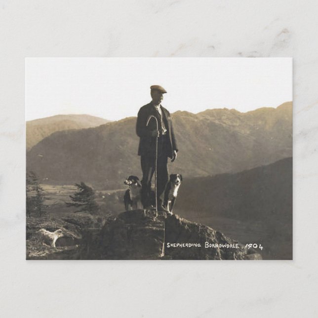Cartão Postal Shepherding Borrowdale 1904 (Frente)