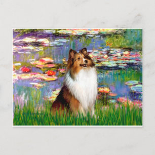 Cartão Postal Shetland Sheepdog (Bz) - Lilies 2