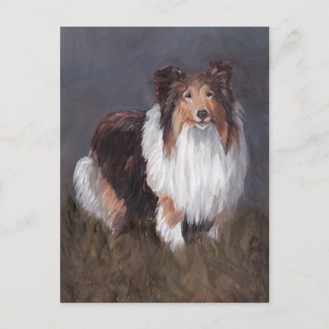 Cartão Postal Shetland Sheepdog Dog Art Posta Card (Frente)