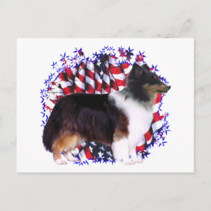 Cartão Postal Shetland Sheepdog Patriot