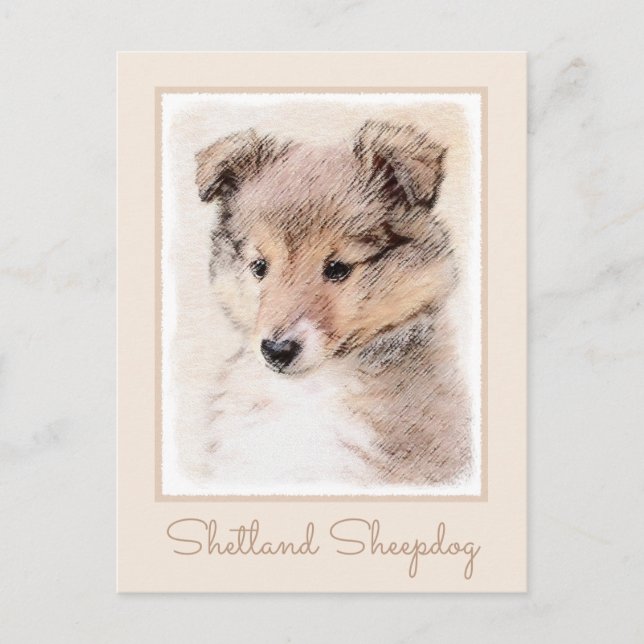 Cartão Postal Shetland Sheepdog Puppy Pintura Original (Frente)