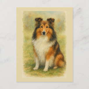 Cartão Postal Shetland Sheepdog Sentado Aquarela