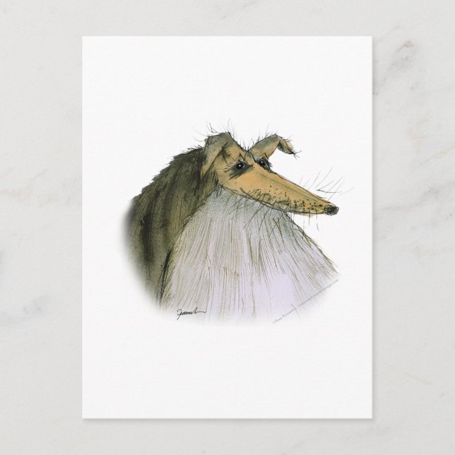 Cartão Postal Shetland Sheepdog, tony fernandes (Frente)